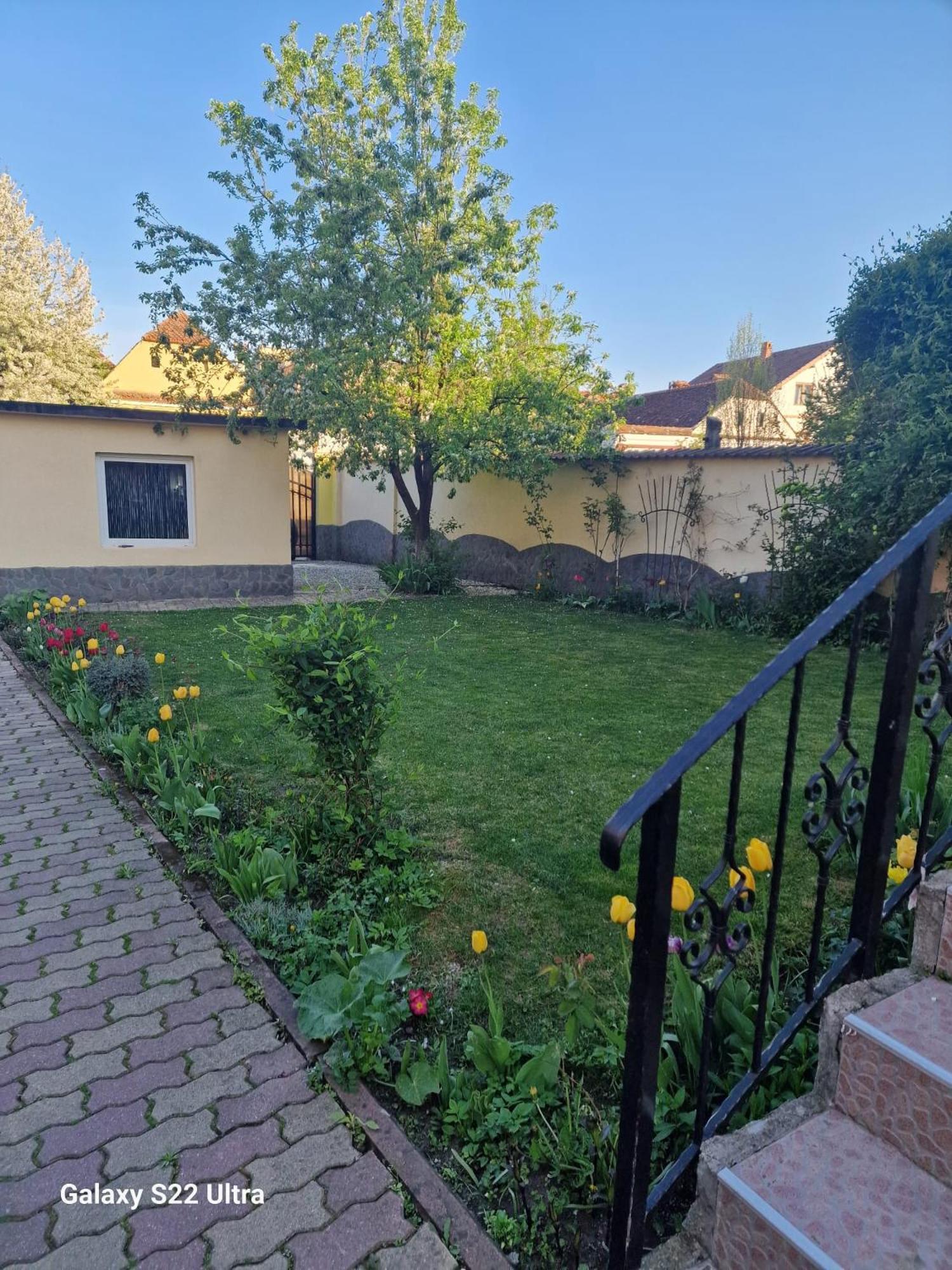 Rîşnov Apartament Teilor מראה חיצוני תמונה