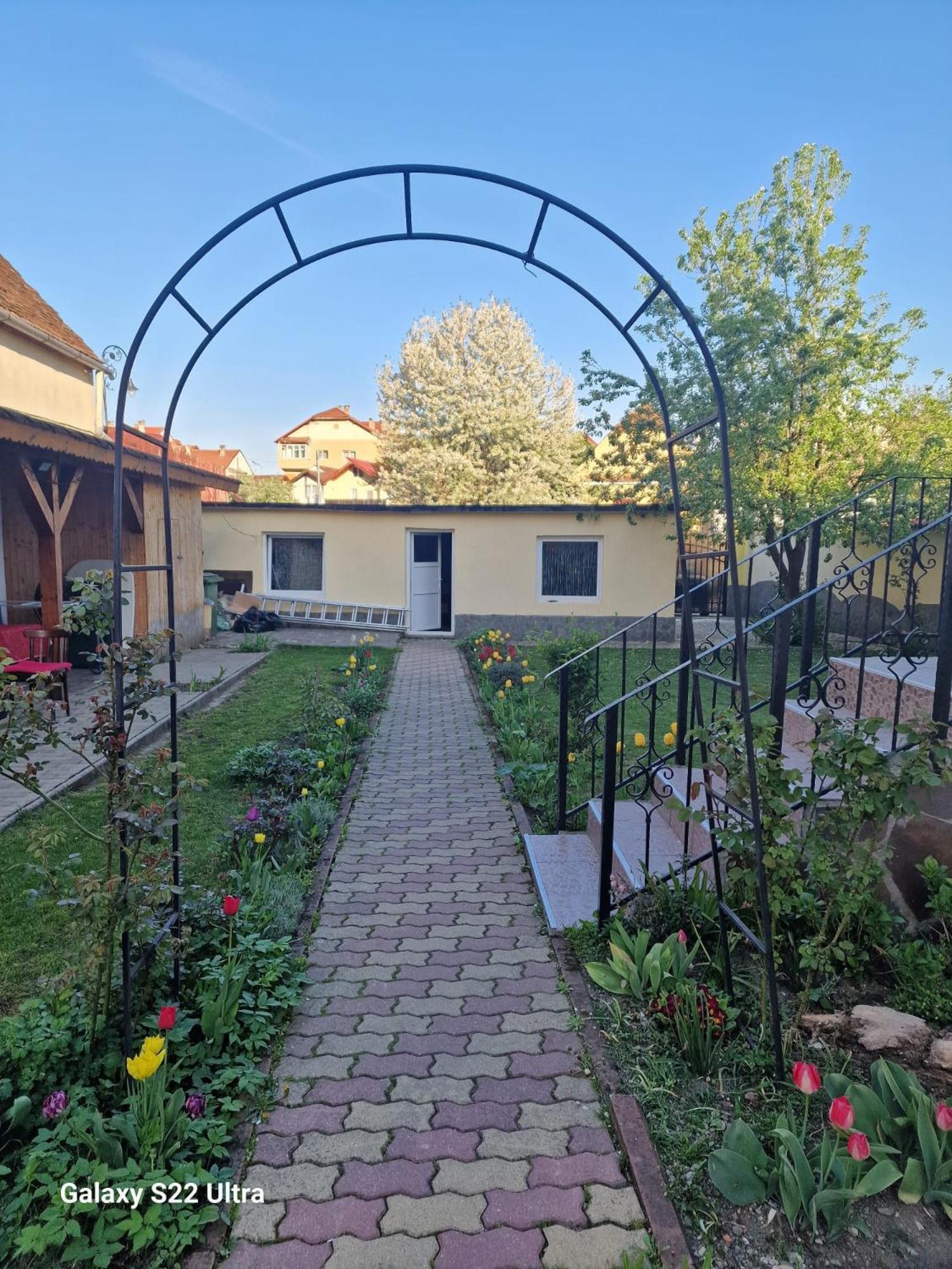 Rîşnov Apartament Teilor מראה חיצוני תמונה