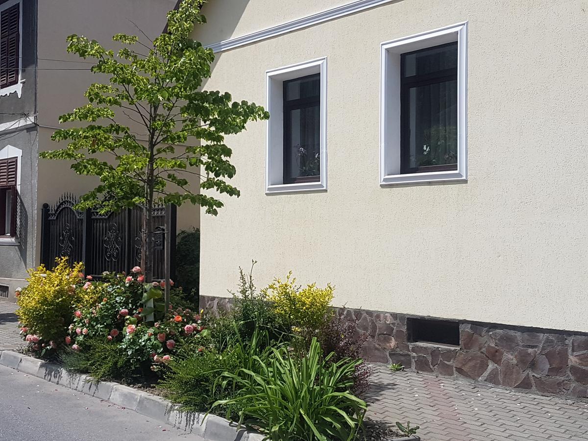 Rîşnov Apartament Teilor מראה חיצוני תמונה